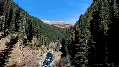 高原原始森林雪山秋冬季风景航拍4K视频的预览图